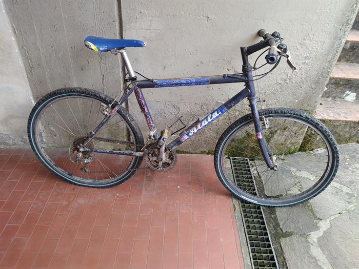 MOUNTAIN BIKE