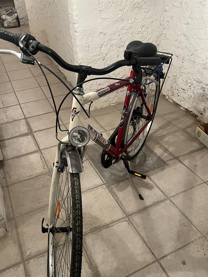 MOUNTAIN BIKE 6