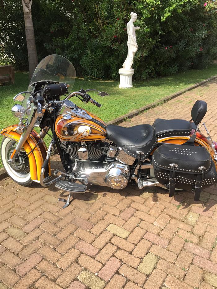 HARLEY DAVIDSON SPORSTER S 6
